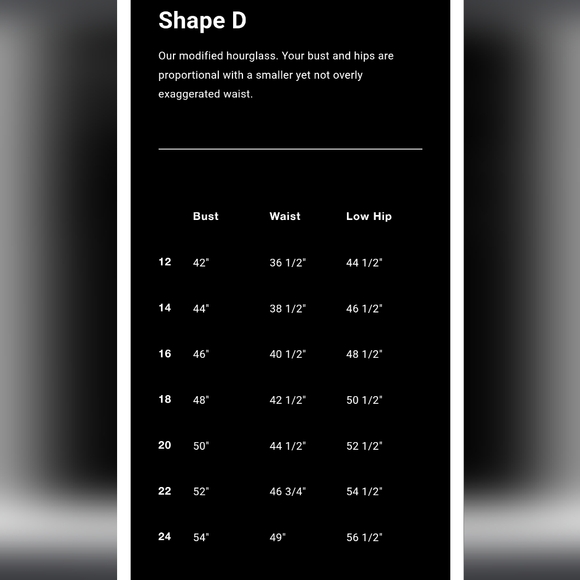 Pari Passu Tammy Reiss Floral Print Belted Shirt Dress Size D4/18 Office Siren - Picture 15 of 15